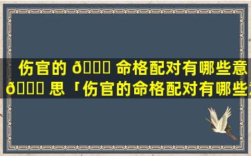 伤官的 🐘 命格配对有哪些意 🐋 思「伤官的命格配对有哪些意思呢」